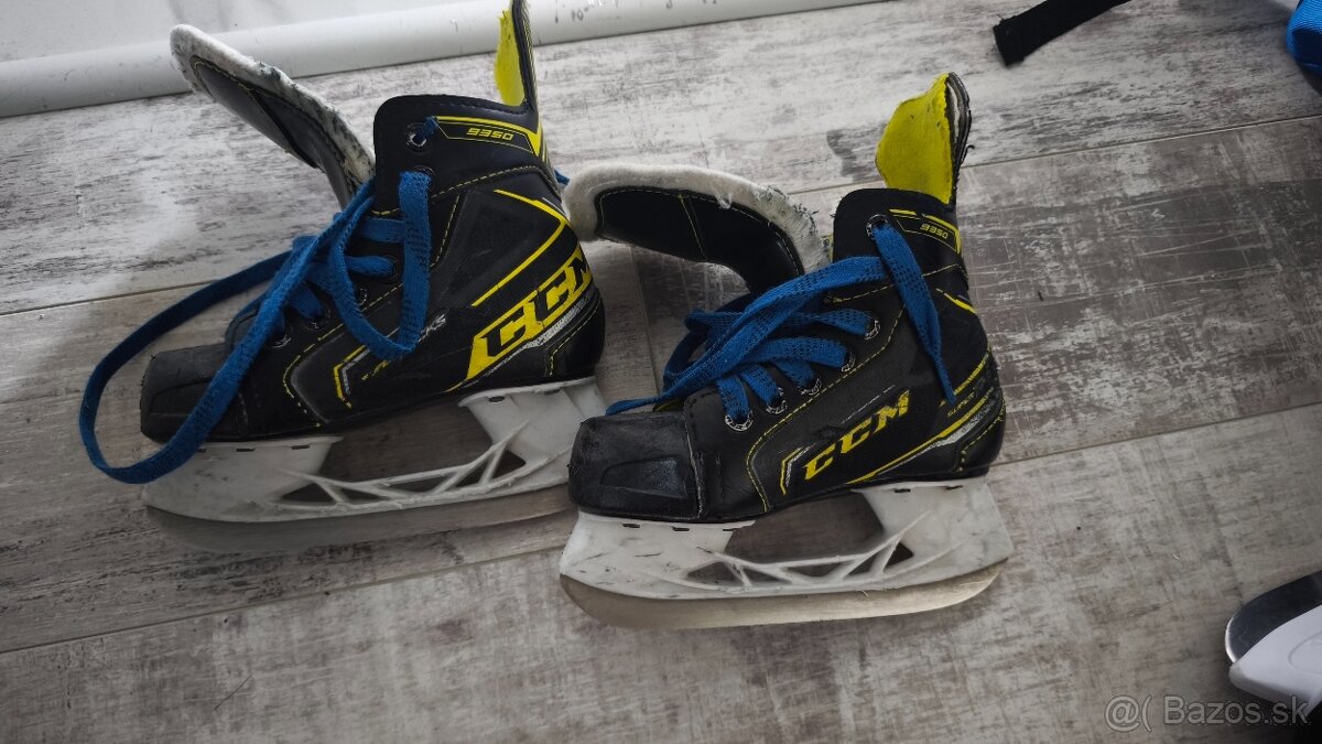 CCM 11