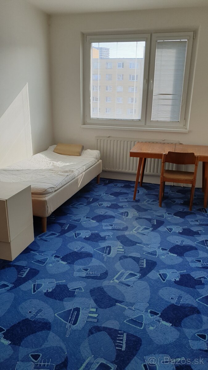 Ponúkam do podnájmu jednu izbu