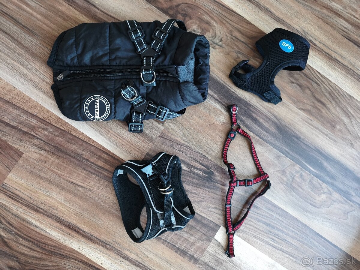 3 postroje a teplá bundička pre šteniatko malého plemena