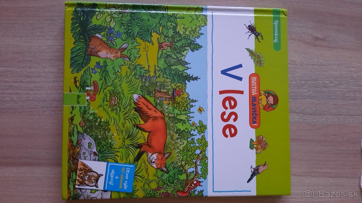V lese