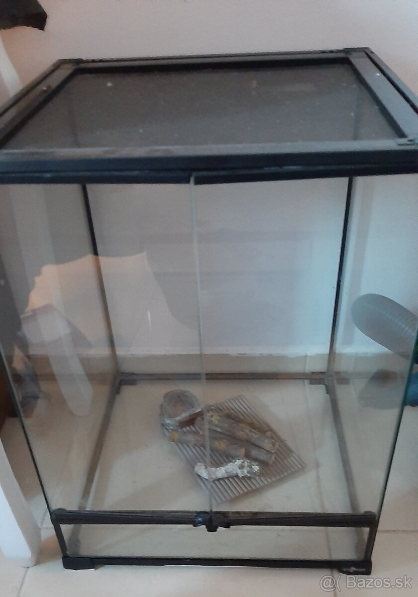 Terarium pre agamy alebo chameleóna