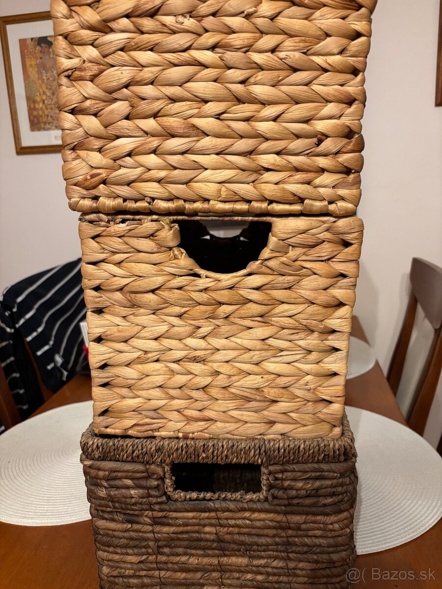 Ratanov boxy
