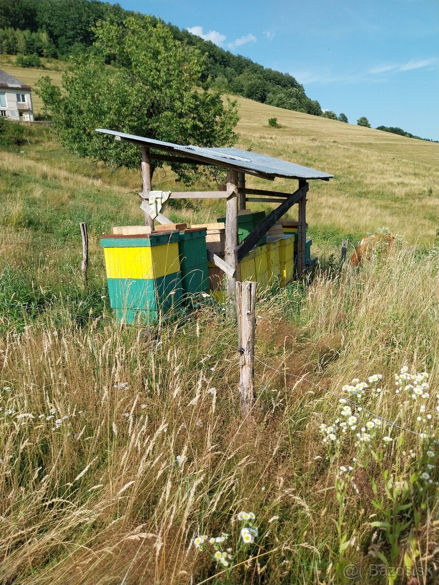 Včely