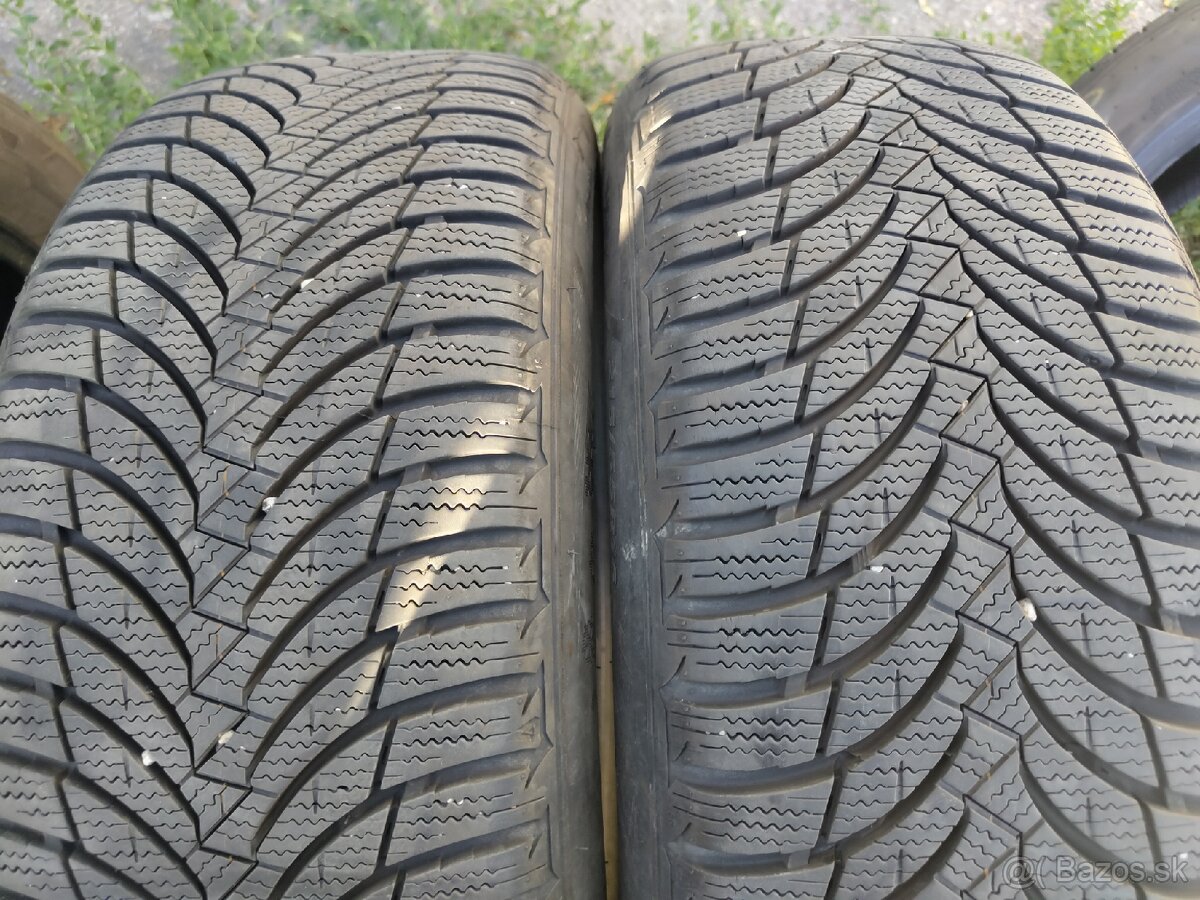 Zimné Nexen Winguard SnowG WH2 215/55/16 93H
