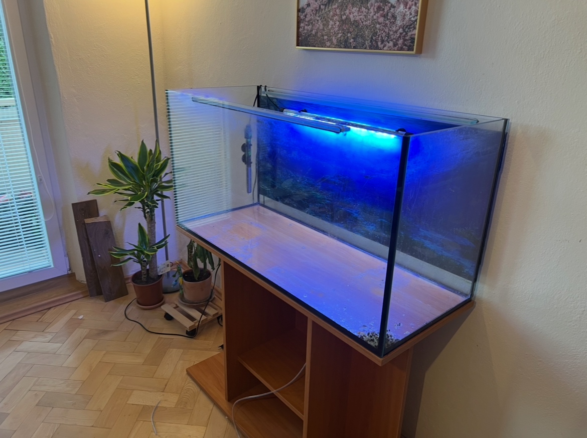 200 litrové akvárium + komplet zariadené s rybickami