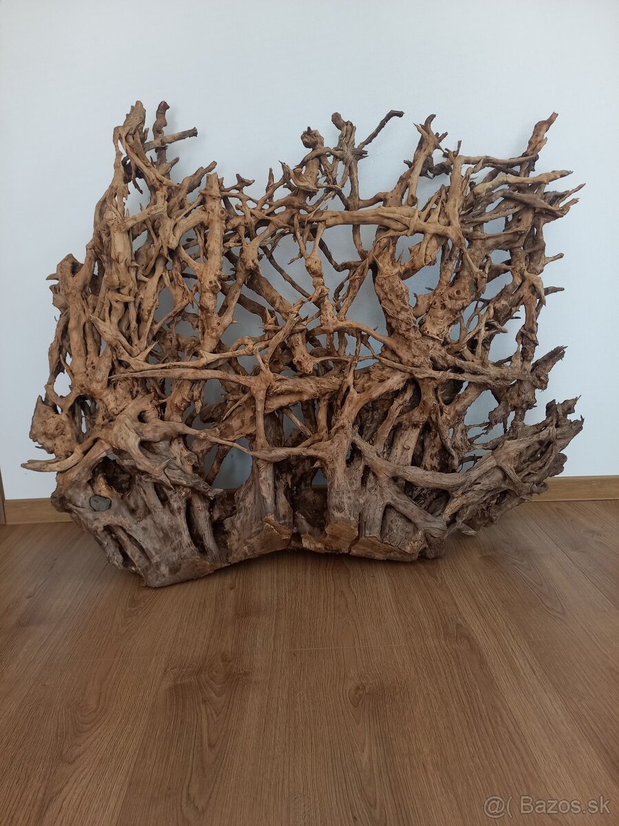 Samorast