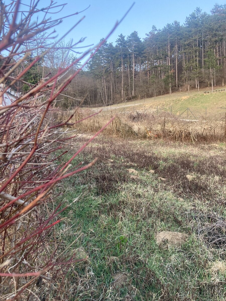 Predám lukratívny stavebný pozemok v centre Trenčína