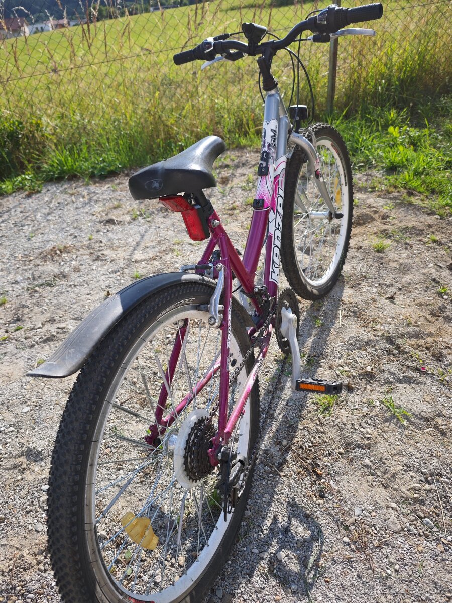 Kenzel 24 SM