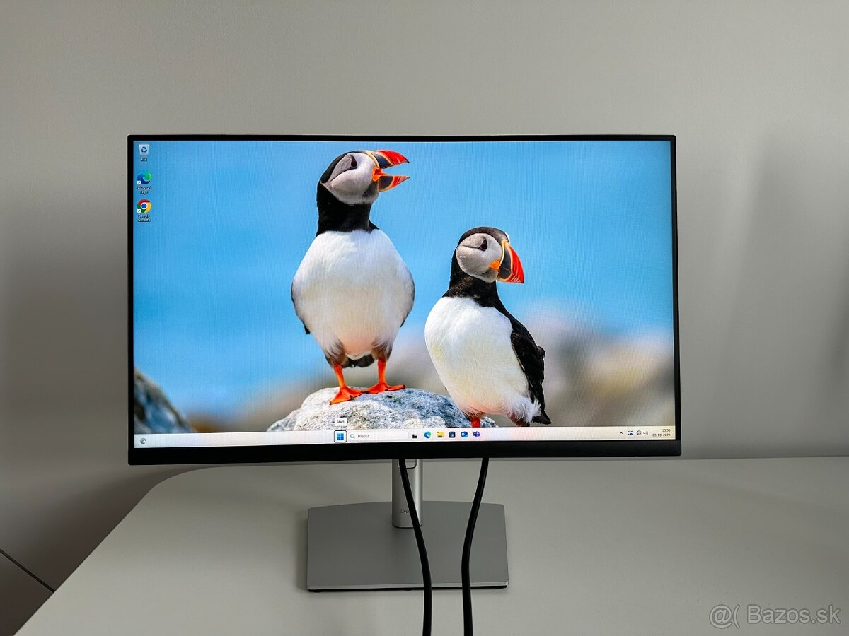 Dell P2422HE 23,8" Professional PIVOT