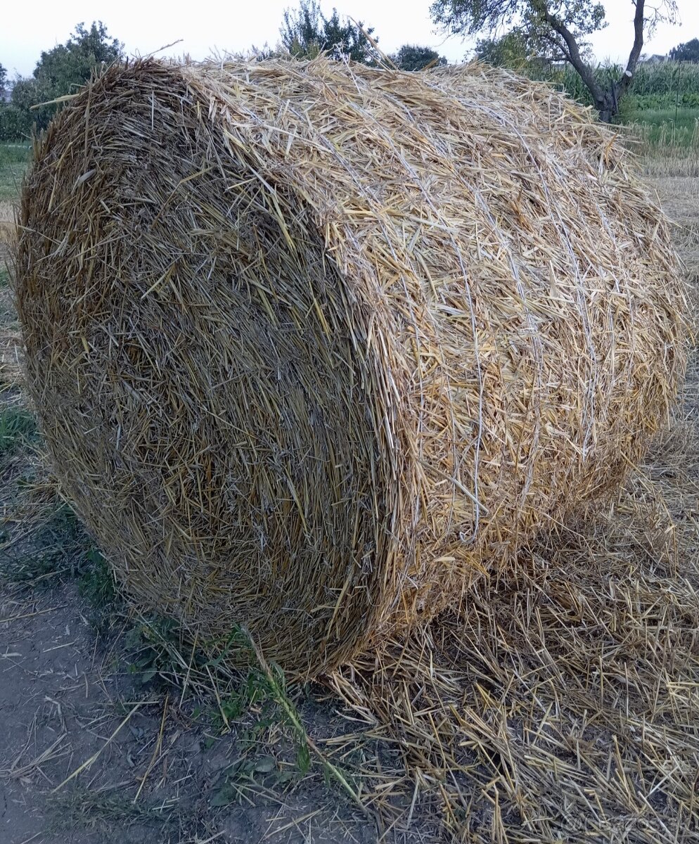 Balíky pšeničnej slamy