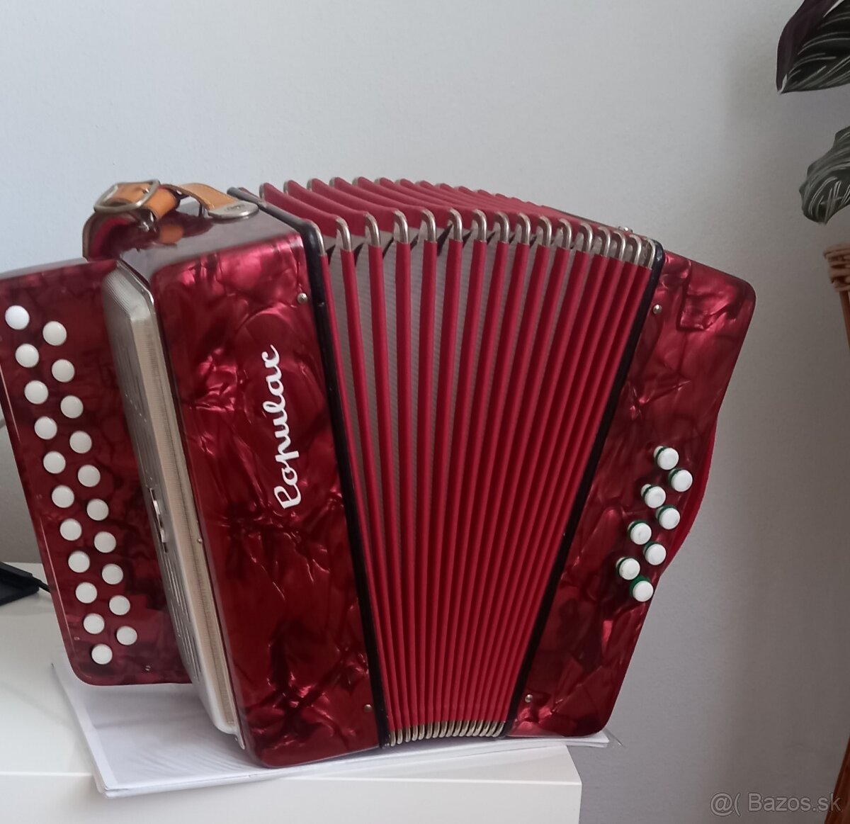 Heligonka harmonika delicia populár