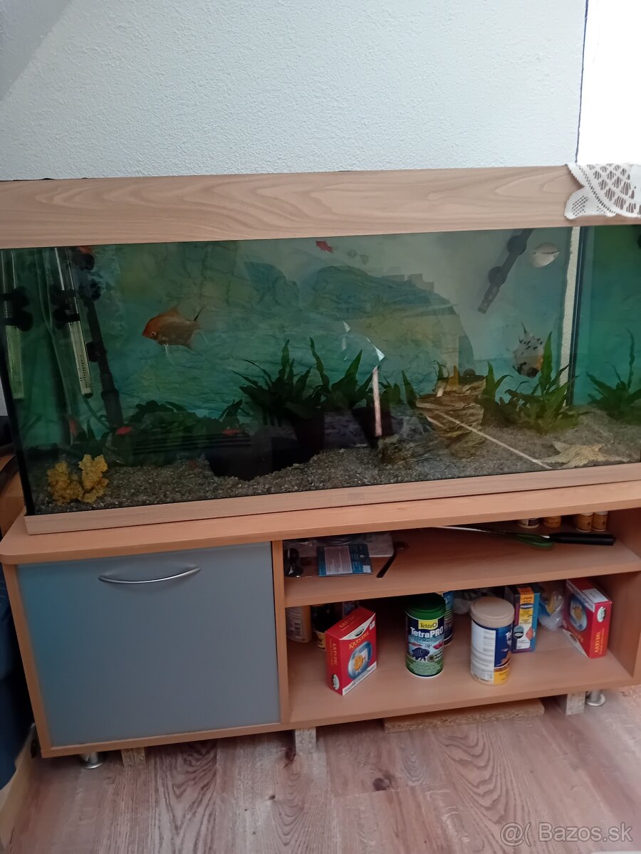Predam akvariu.