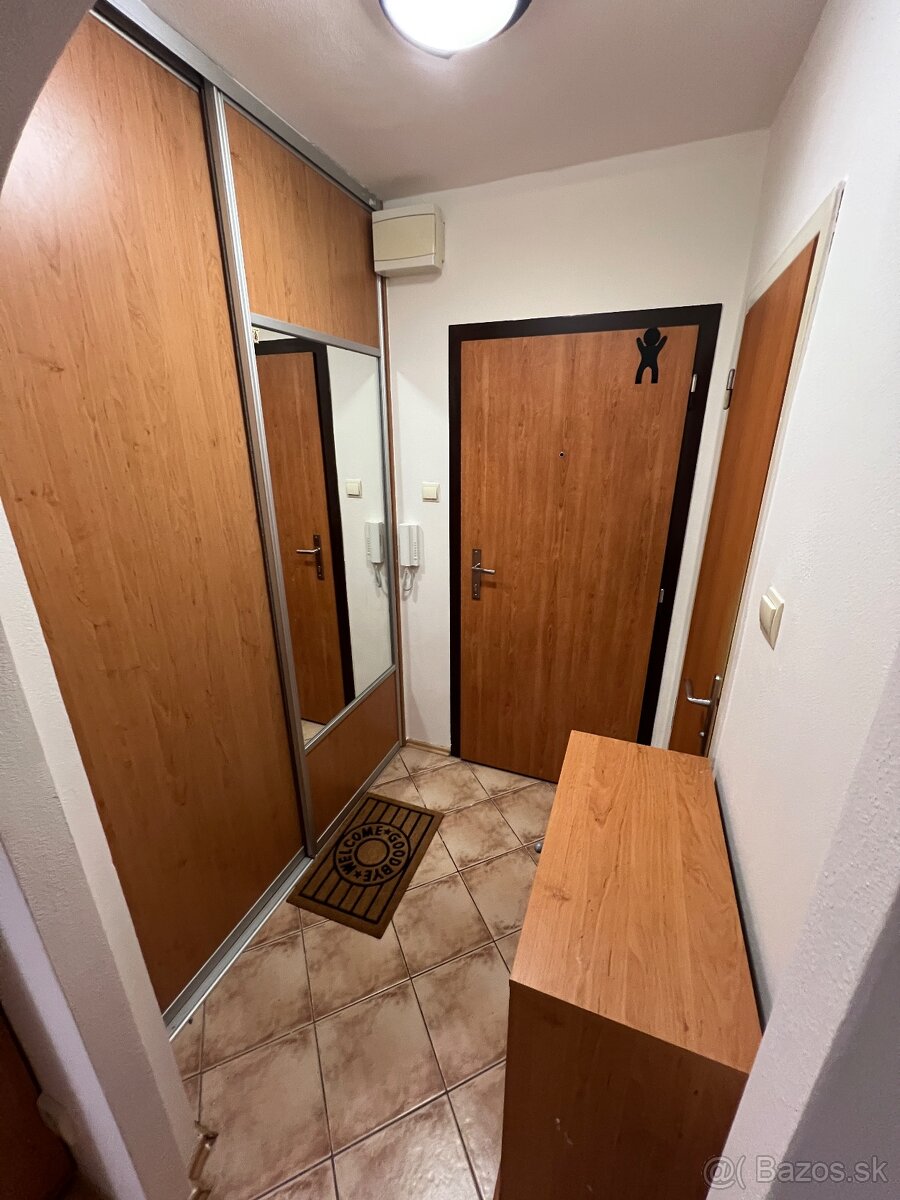 1 izbovy byt v Banskej Bystrici na prenajom