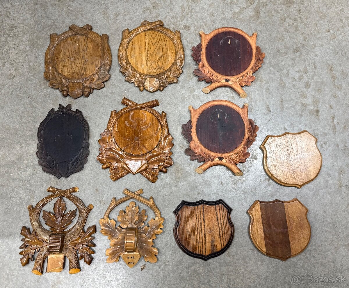 Trofej,parohy,parozie,diviak