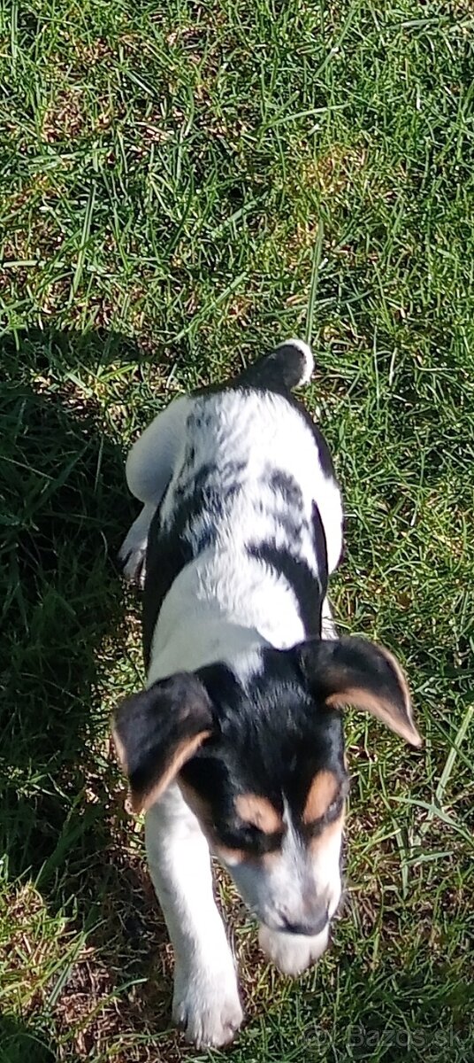 Jack