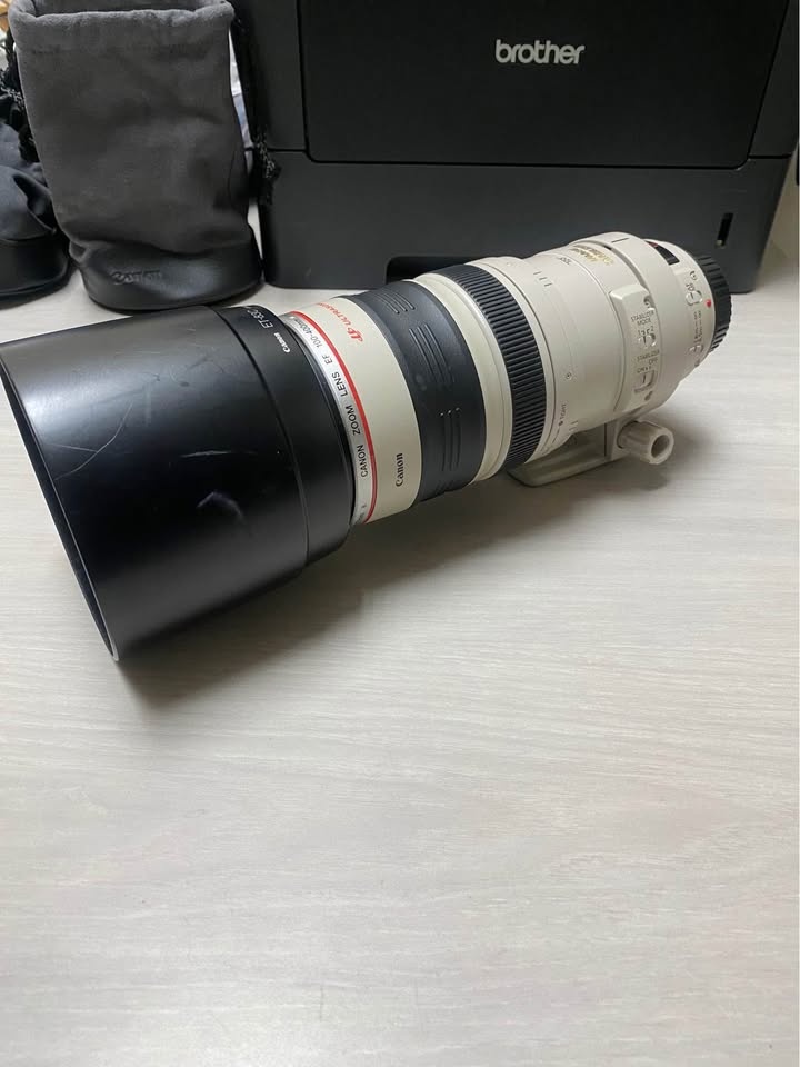 Canon EF 100-400mm f4.5-5.6 L IS