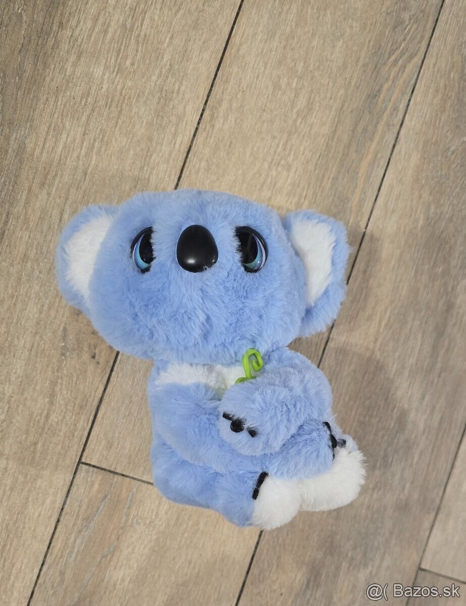 Interaktívna koala