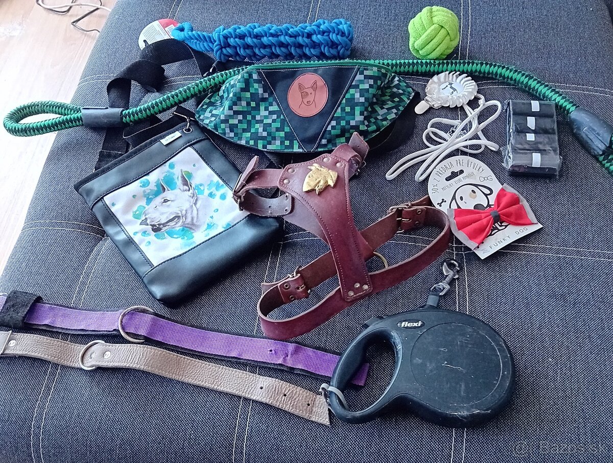 Kožený postroj, voditko, obojky,