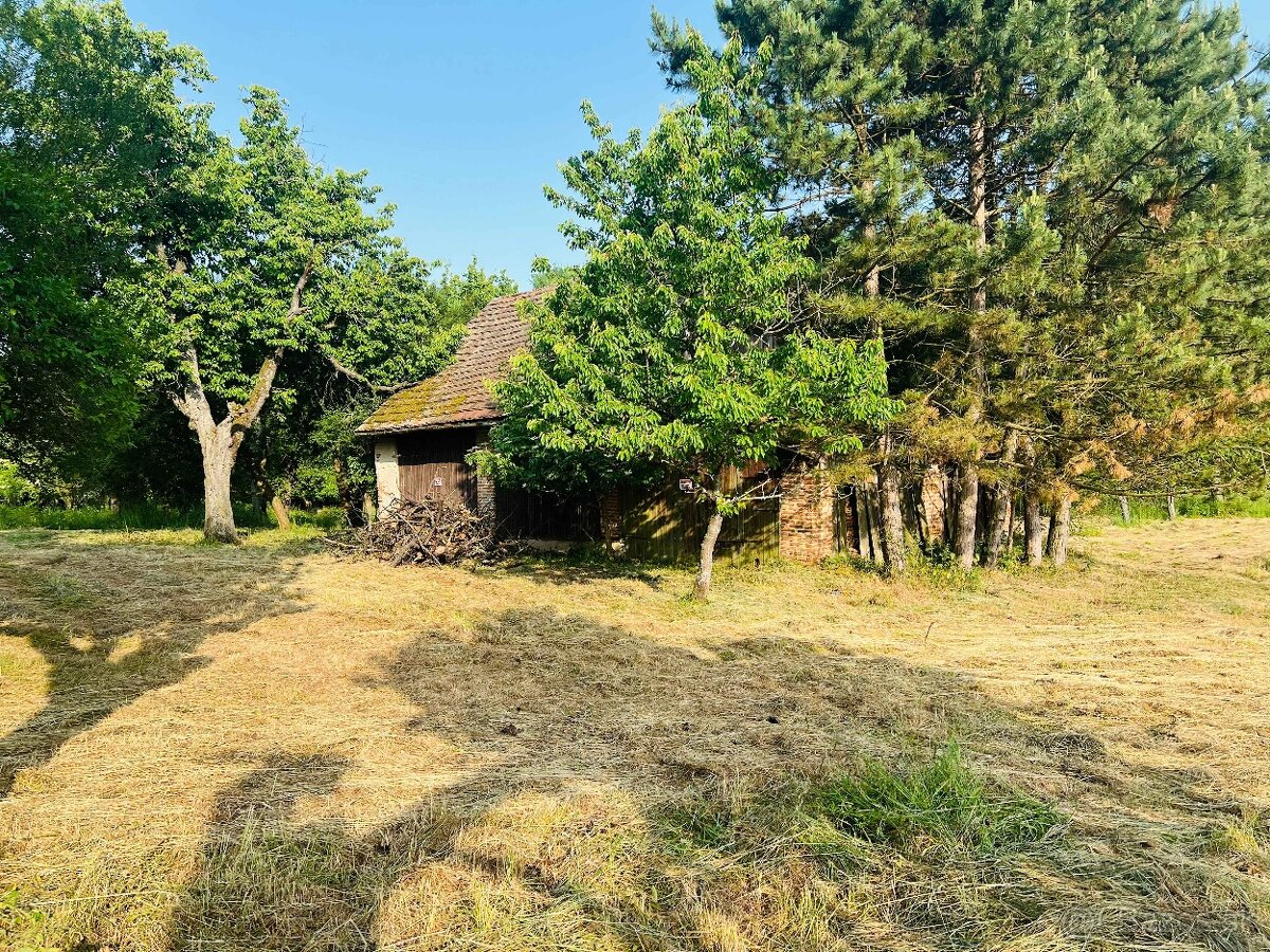 Na predaj veľký pozemok s rodinným domom, 583.292 m2, obec N