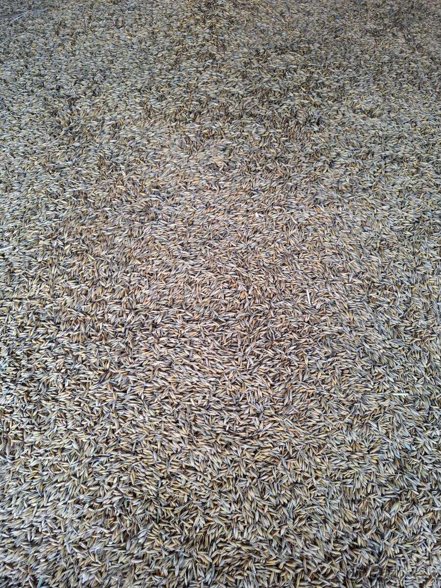 Ovos