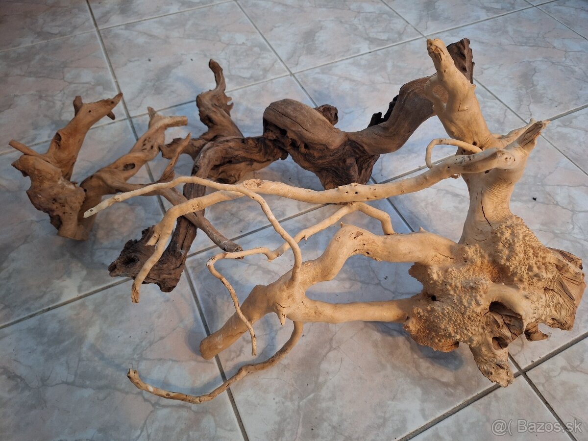 Korene do terária/akvária