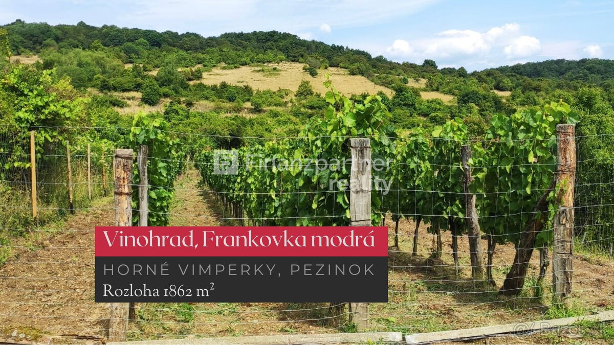 REZERVOVANÉ - Vinohrad 1862 m², v meste Pezinok + 3D