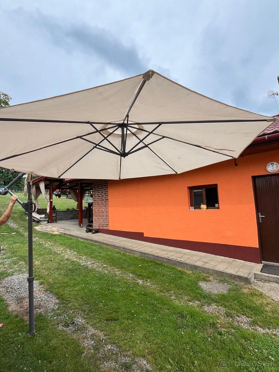 Slnečník