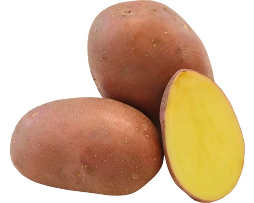Sadbové zemiaky
