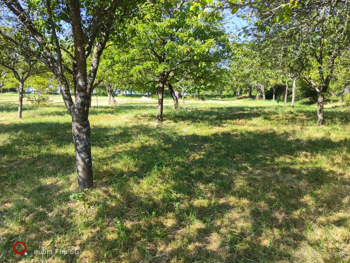 Ovocný sad / Záhrada na predaj