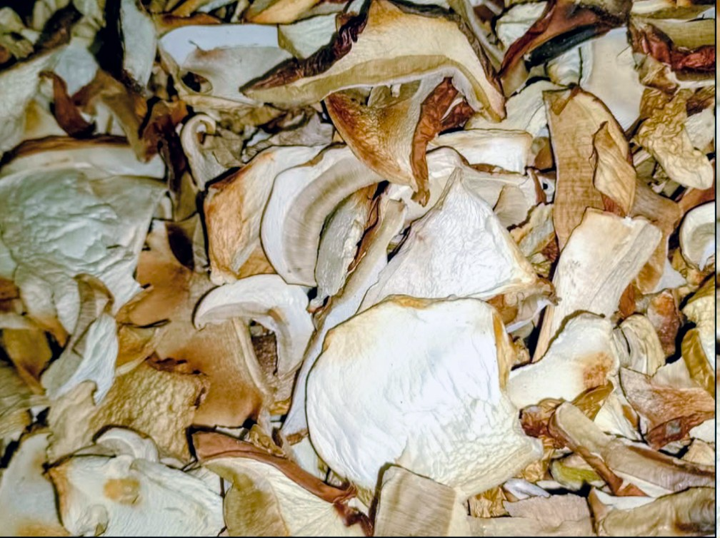 Sušené hríby dubaky