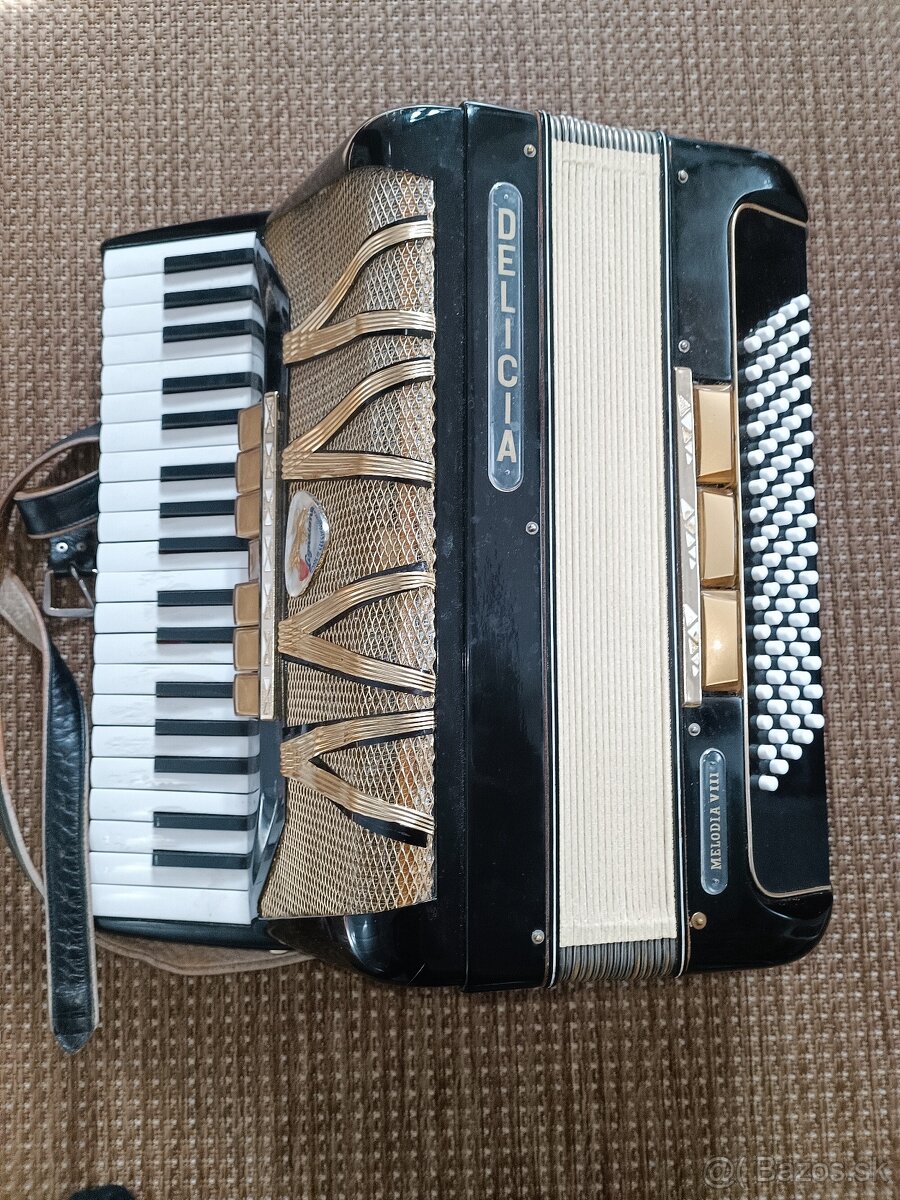 Akordeón Delicia Lignatone melodia