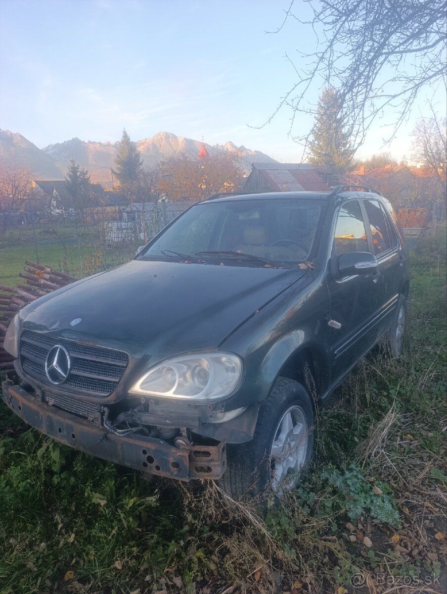 Mercedes ml w163