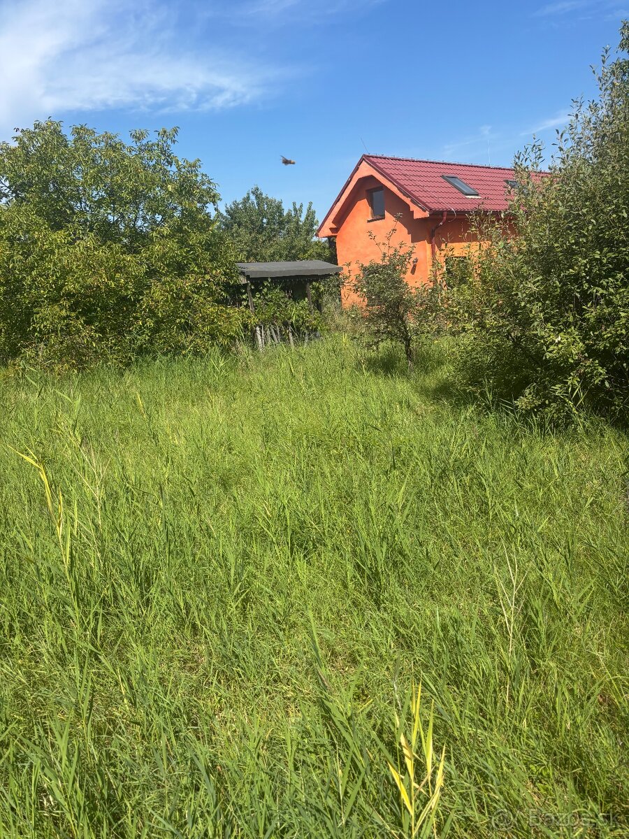 Žabí majer