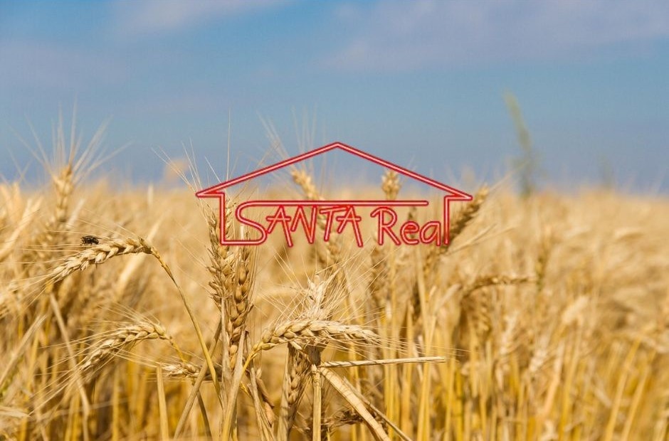 POĽNOHOSPODÁRSKE POZEMKY NA PREDAJ