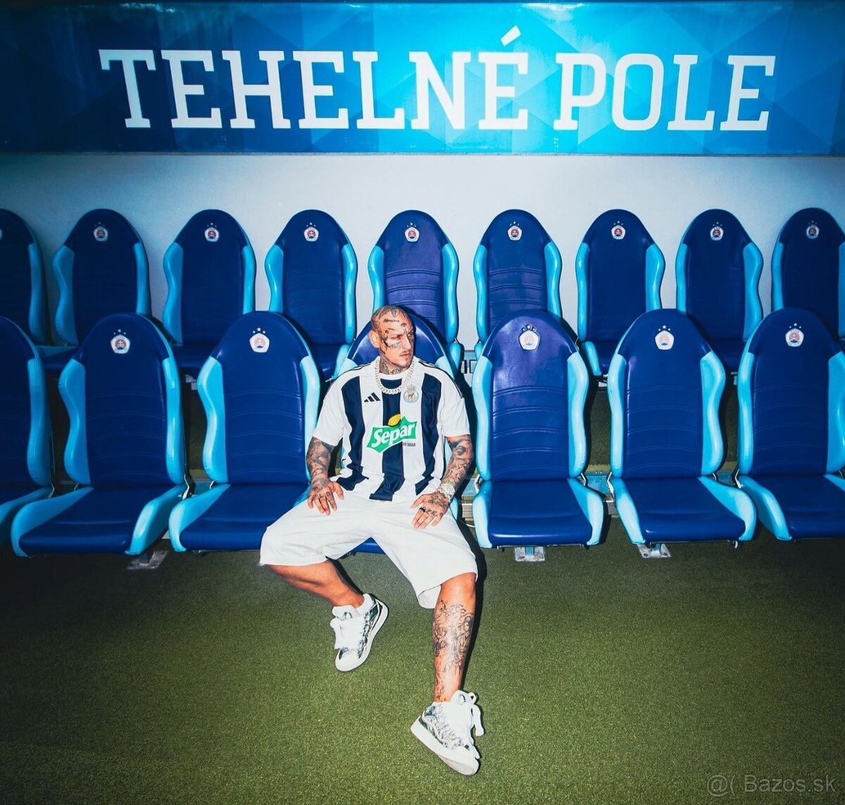 Separ Tehelné Pole Golden Circle