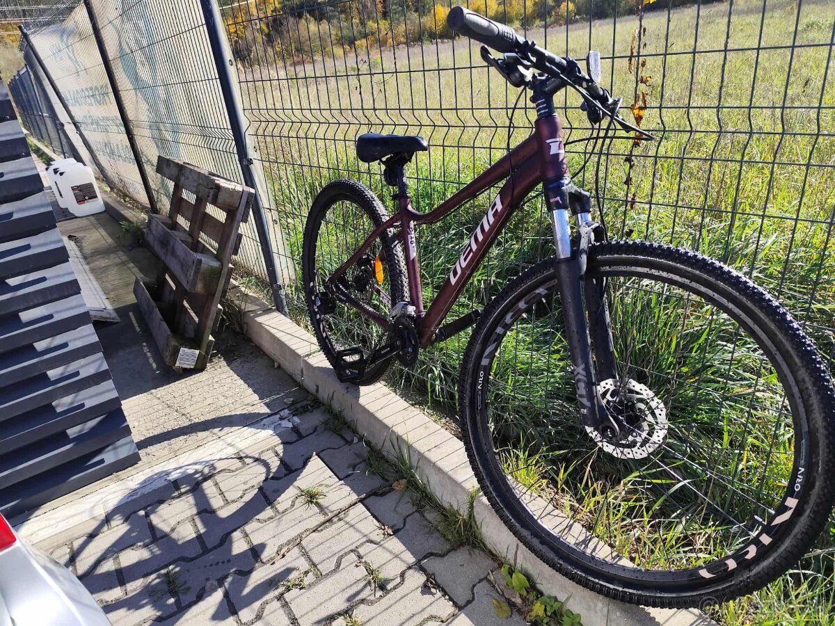 Bicykel Dema Tigra 5 bordo 2021