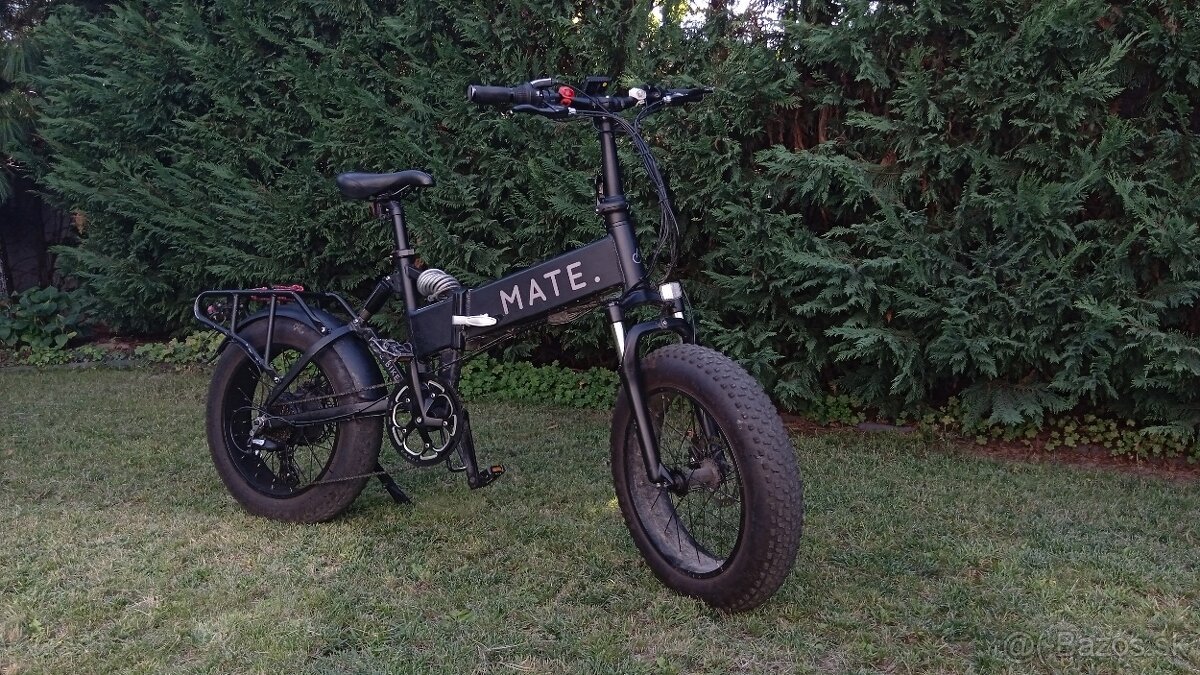 Mate x bike