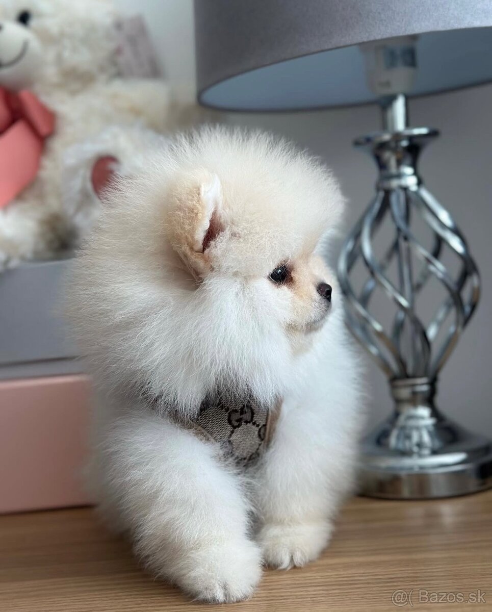 Rozkošná princezná DeLuxe 🎀