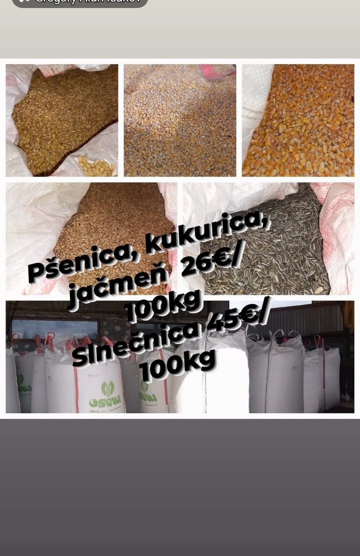 Pšenica, kukurica, jačmeň, 26€ slnečnica 45€