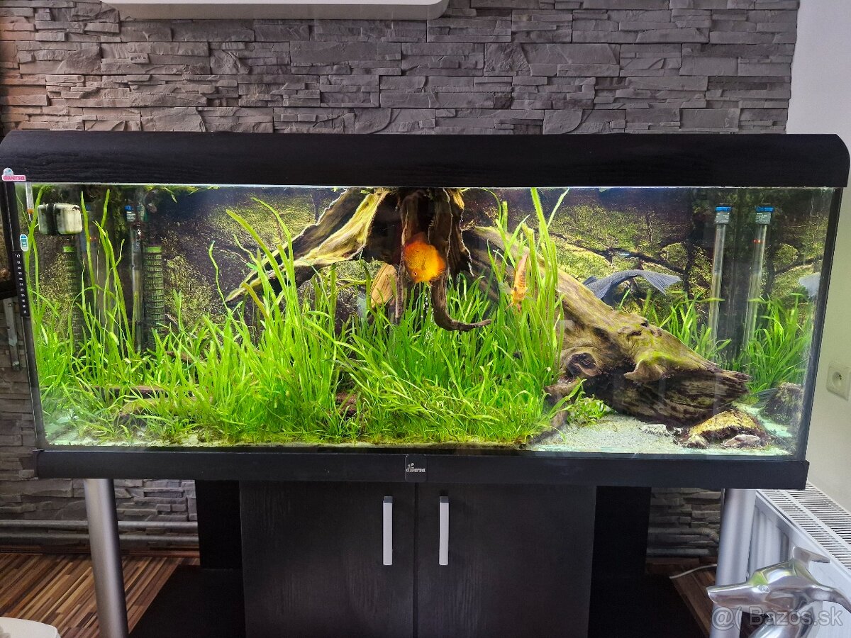 Predam akvarium 576l
