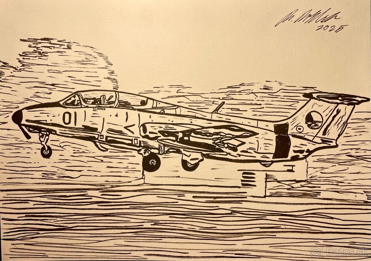 Obraz L29 Delfín