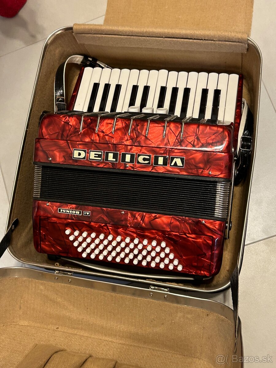 harmonika Delicia Junior IV, s originalnym púzdrom