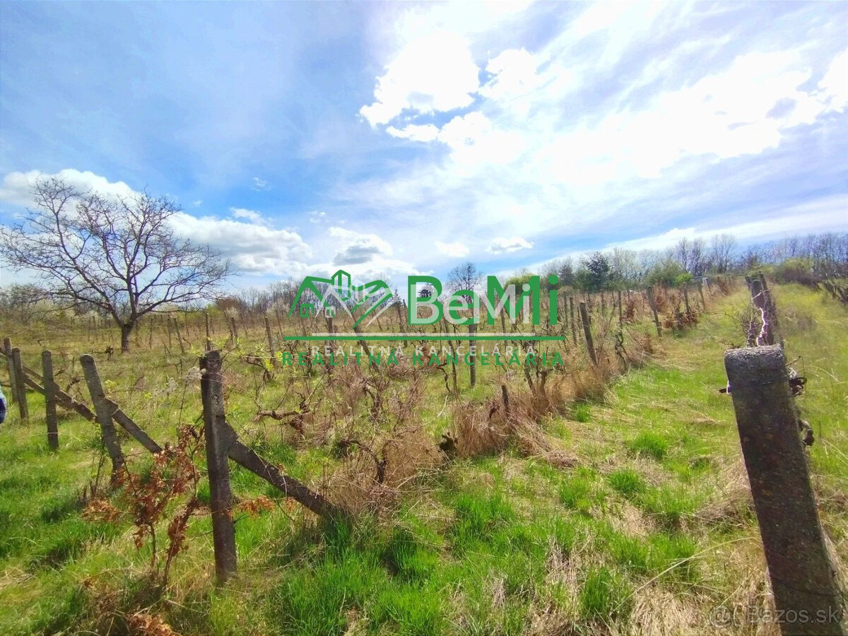 Vinica-Slovenské Kľačany-predaj