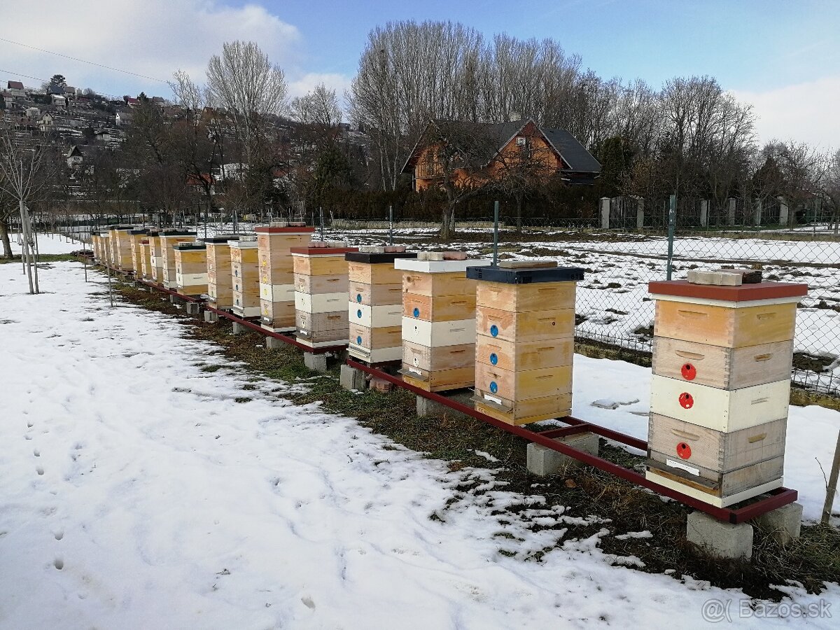 predam včely