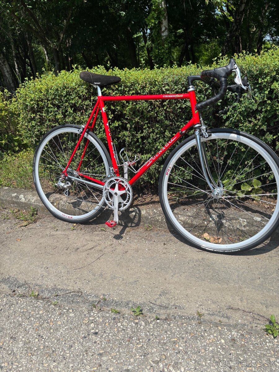 colnago
