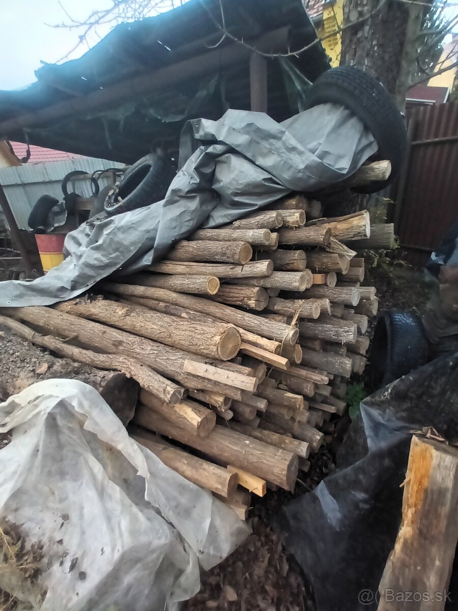 Stĺpy štompy drevene.