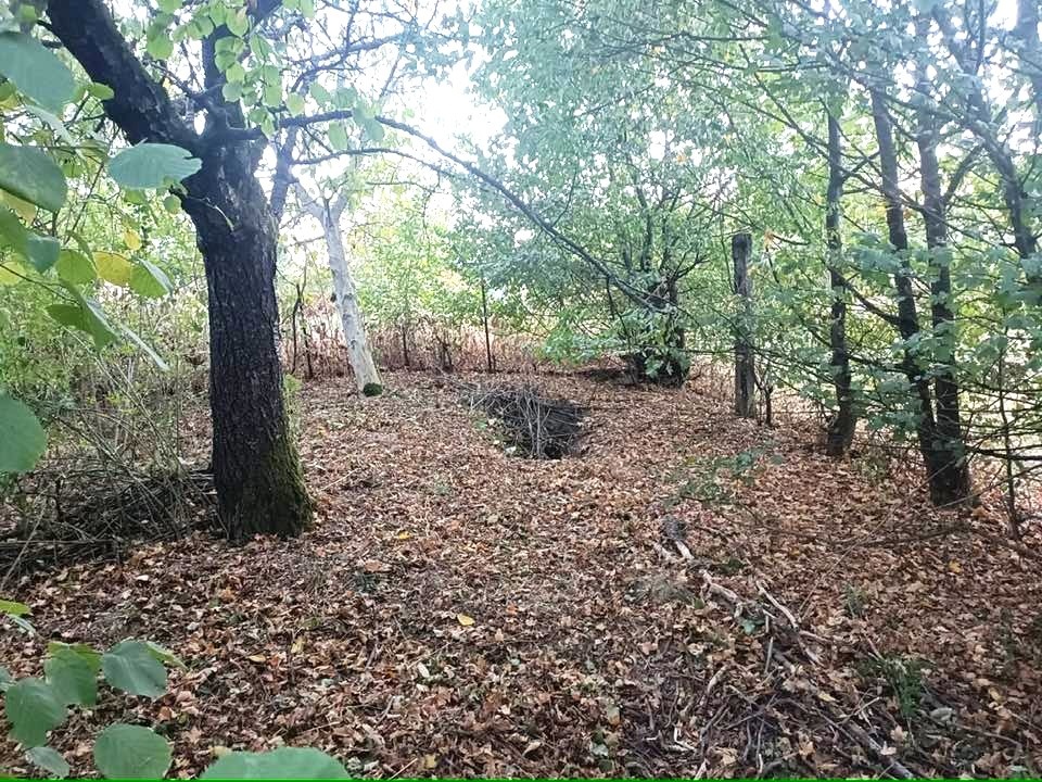 Na prenájom záhrada 600m2, Čerešňová ulica, Košická Nová Ves