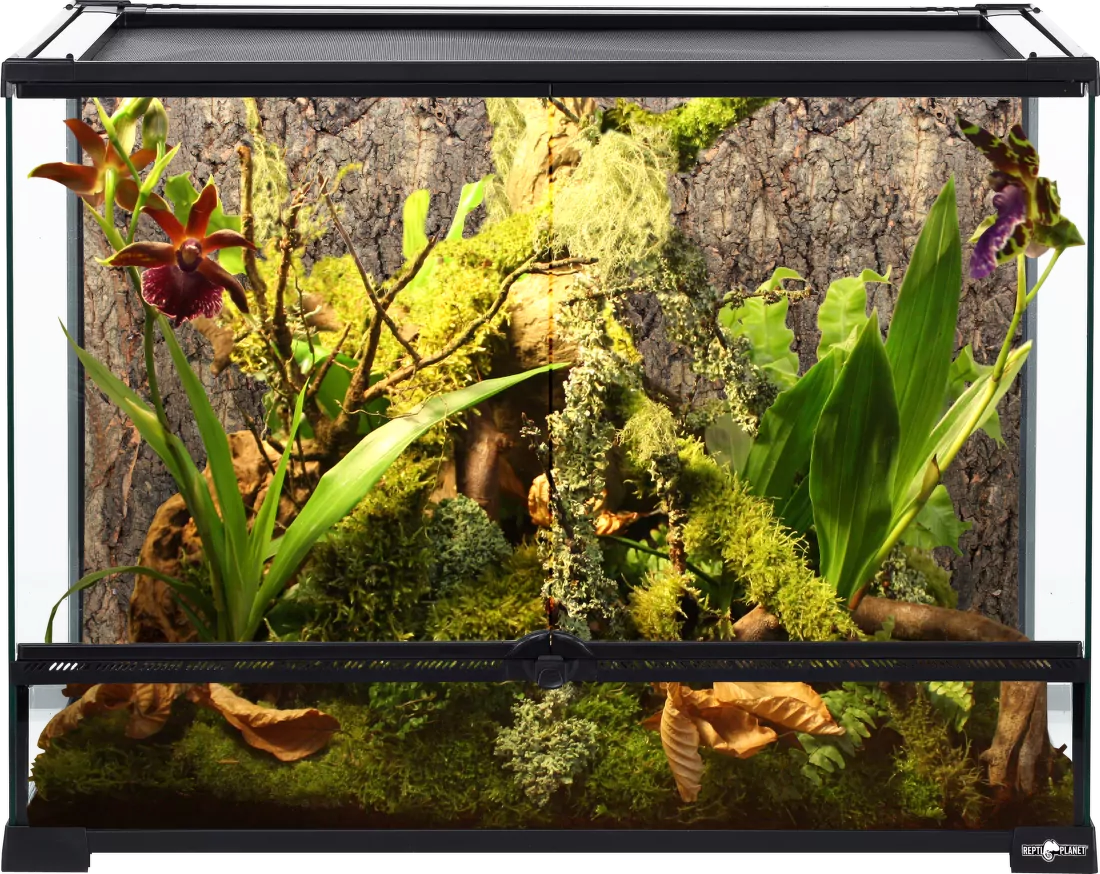 terarium ako nove používané 3 mesiace