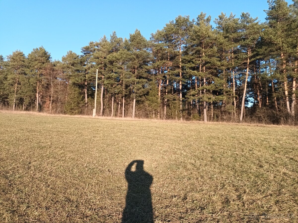 Predám lesný pozemok
