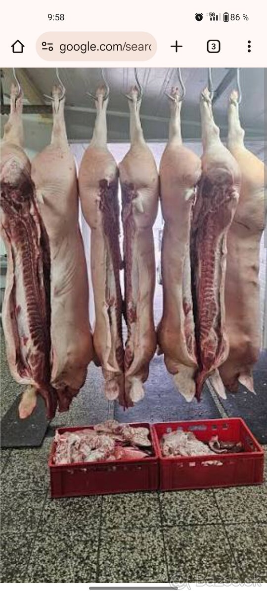 Predám svine na polky